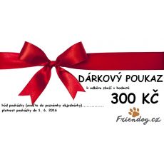 Dárková poukázka 300,-